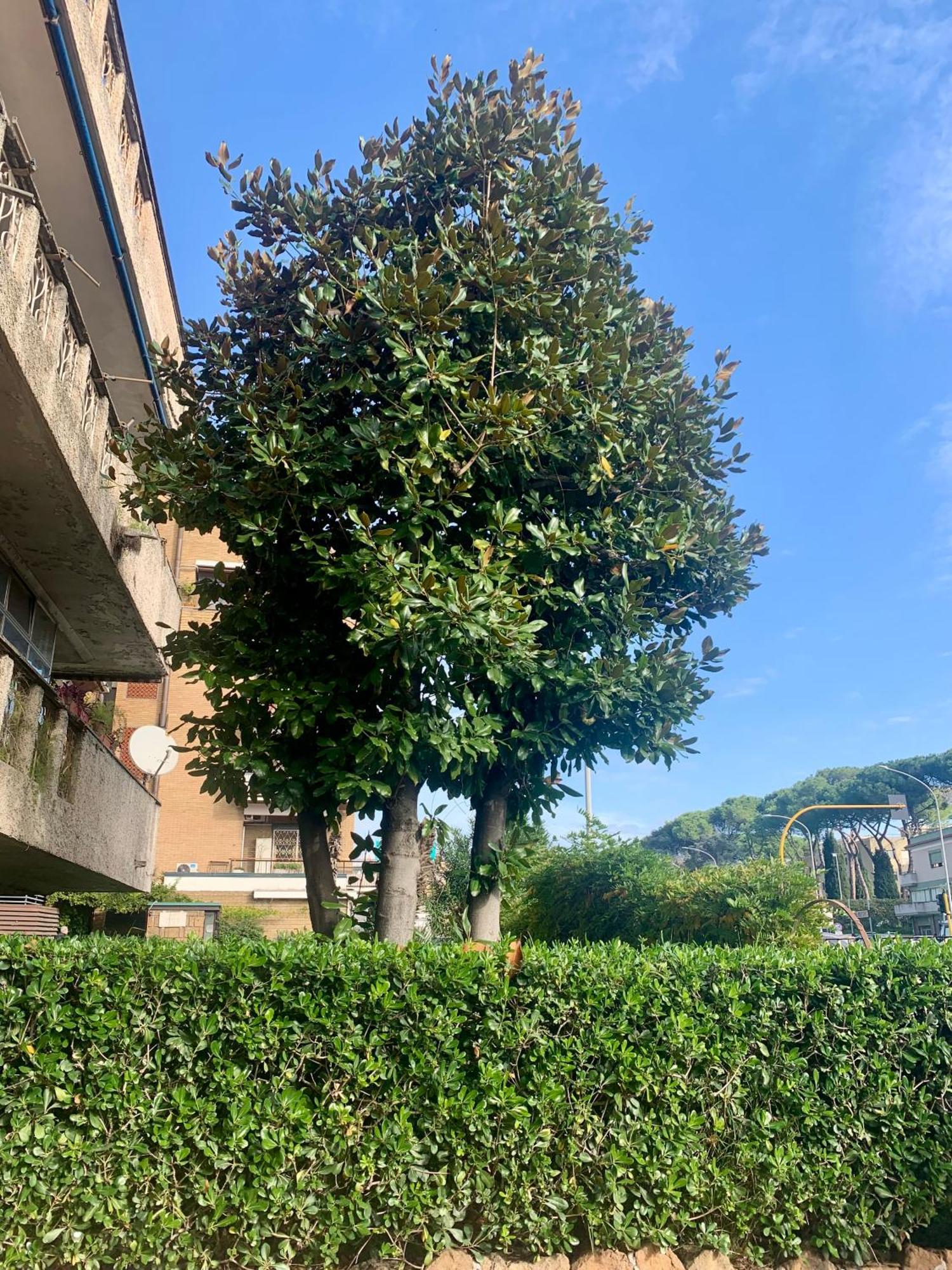 Home Big Crire At 724 Roma Exterior foto